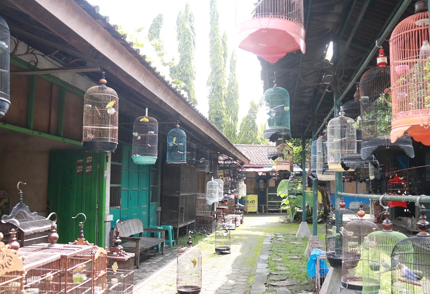 PasarPasty tempat menjual aneka satwa dan tanaman di Yogyakarta.(Humas Pemkot Yogyakarta)