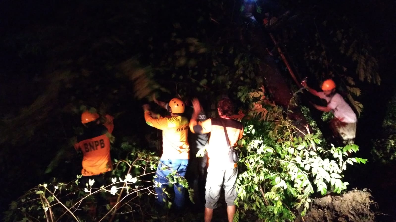 Petugas BPBD Kabupaten Sragen bersama tim gabungan melakukan pemotongan batang pohon tumbang di salah satu ruas jalan usai diterjang angin kencang pada Minggu (23/1).  (BPBD Kabupaten Sragen)