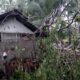 Pohon tumbang yang menimpa sebagian bangunan rumah warga di Kota Banjar, Provinsi Jawa Barat, pada Senin (31/1), pukul 16.30 WIB. (via BNB)