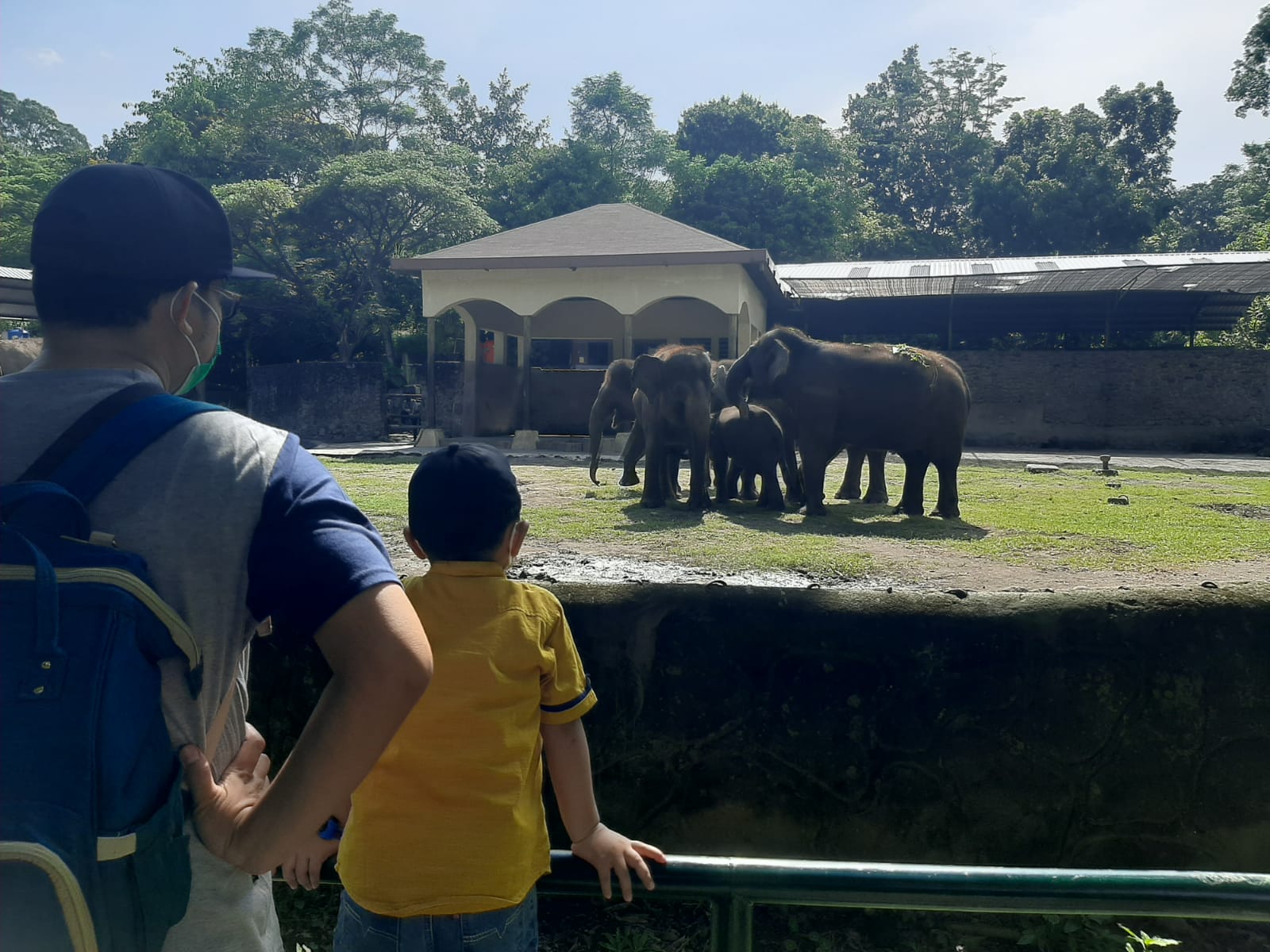 Arinta, anak gajah di Gembira Loka Zoo Yogyakarta rayakan ulang tahun. (Humas GL Zoo)