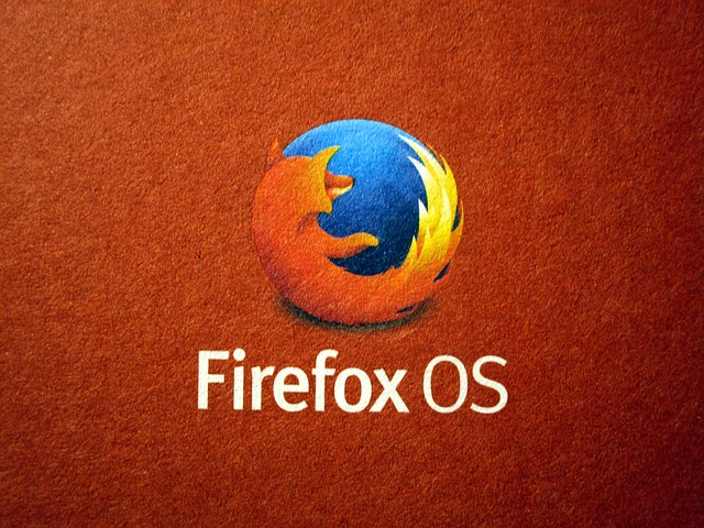 Mozilla firefox. (pixabay)