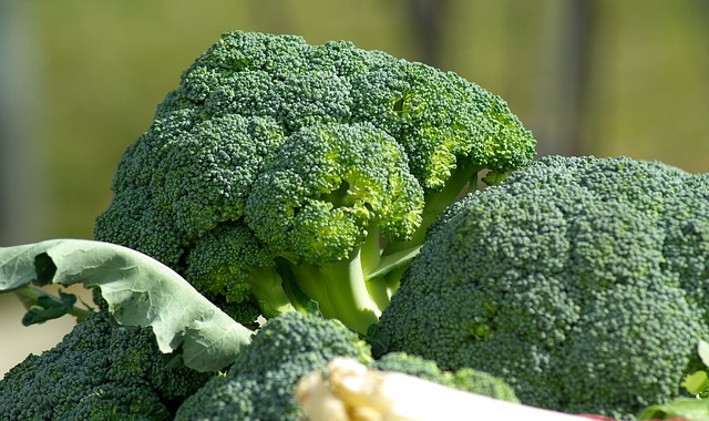 Manfaat brokoli untuk kesehatan. (pixabay)